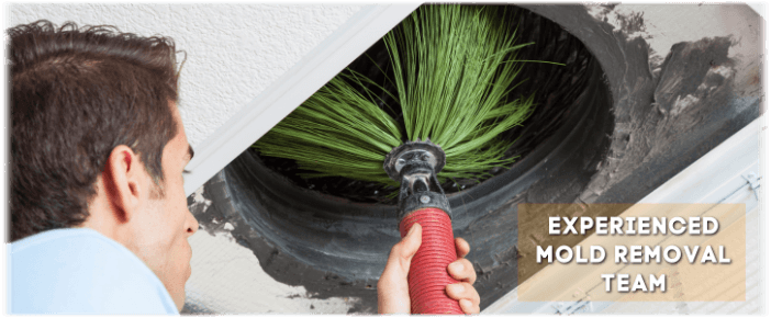 Air Duct Mold Removal in Tomball TX
